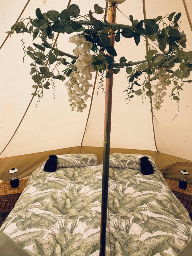 Duneden Belle Glamping Randalstown Εξωτερικό φωτογραφία