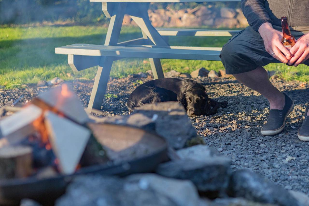 Duneden Belle Glamping Randalstown Εξωτερικό φωτογραφία